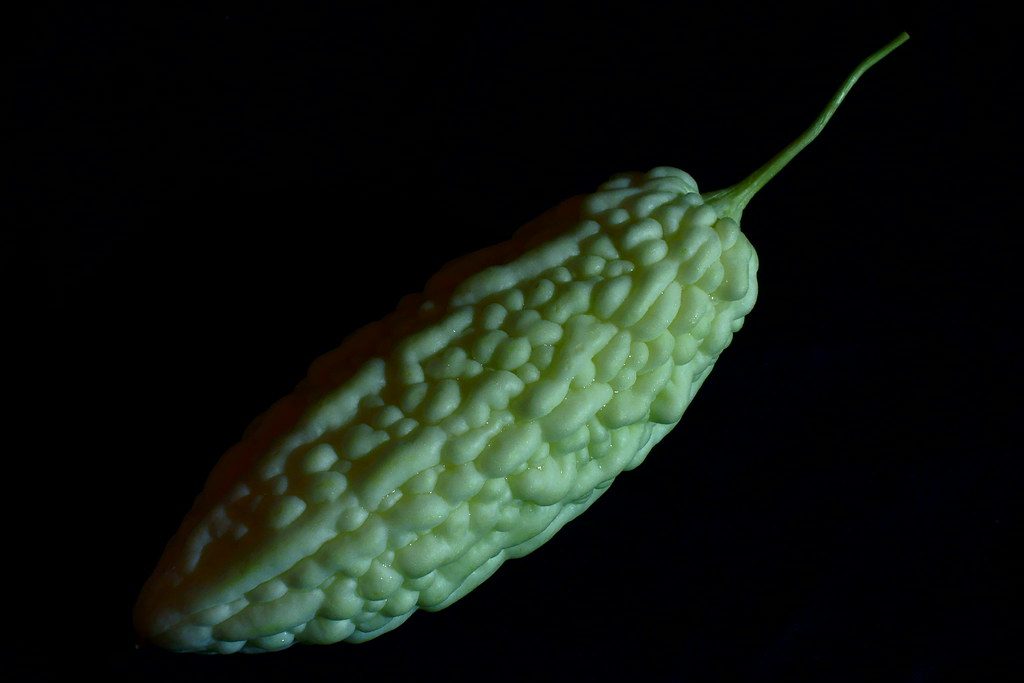 A whole bitter melon gourd with its distinctive ridged skin
